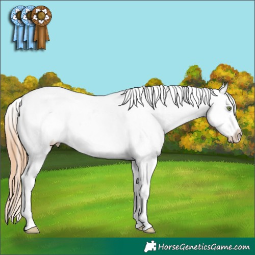 Horse Color:Gold Champagne Dun Tobiano Varnish 