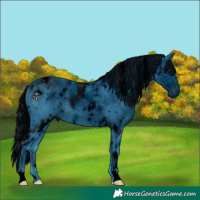 Horse Color:ERROR: UNKNOWN ANOMALY