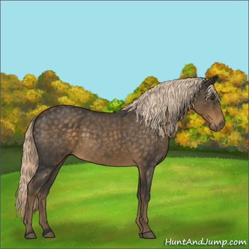 Horse Color:Chocolate Palomino Roan 