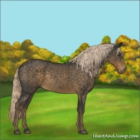 Horse Color:Chocolate Palomino Roan 