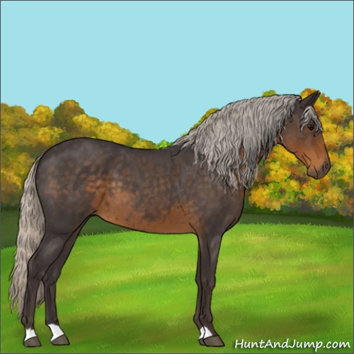 Horse Color:Silver Smoky Blue Roan 