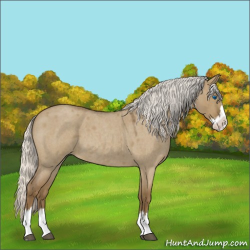 Horse Color:Silver Smoky Grullo Roan Splash 