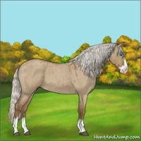 Horse Color:Silver Smoky Grullo Roan Splash 