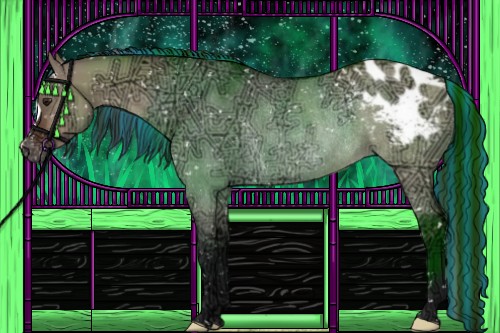 Horse Color:Painted Brown Ice Roan Dun Appaloosa Rabicano 