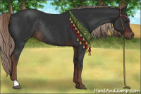Horse Color:Liver Chestnut Rabicano 