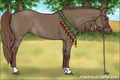 Horse Color:Liver Red Dun Rabicano 