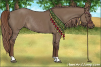 Horse Color:Liver Red Dun Rabicano 