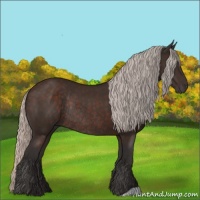 Horse Color:Silver Brown Rabicano 