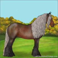 Horse Color:Silver Brown Rabicano 