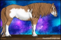 Horse Color:Chestnut Splash Frame