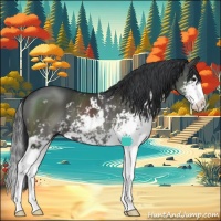 Horse Color:Grullo Sabino Splash 