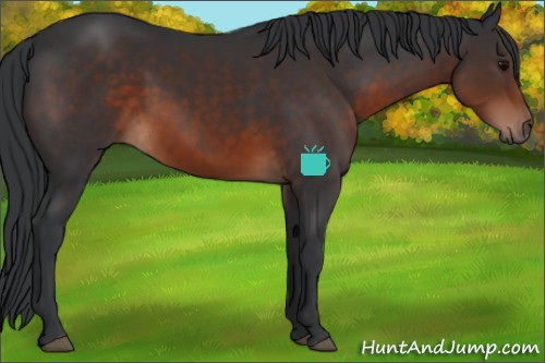Horse Color:Brown 