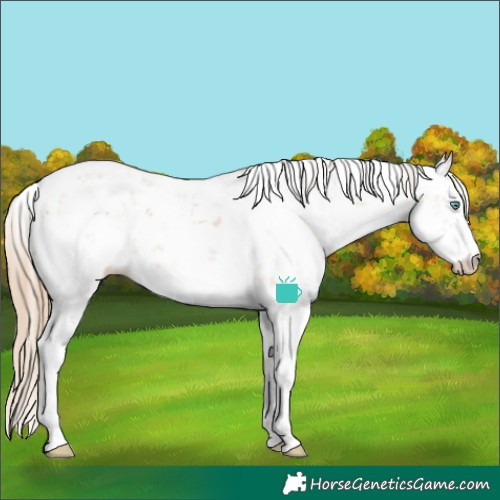 Horse Color:Perlino Sabino 