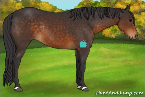 Horse Color:Buckskin Rabicano 