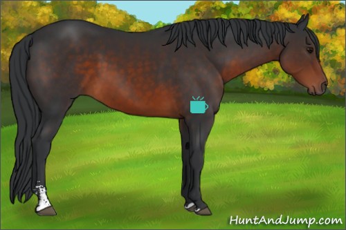 Horse Color:Brown Sabino