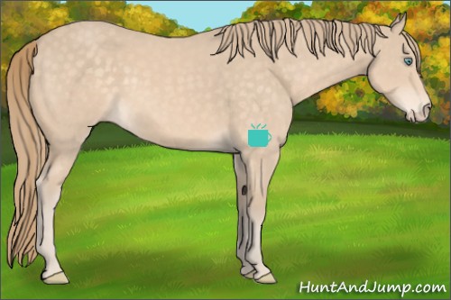 Horse Color:Perlino 