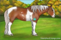 Horse Color:Silver Brown Sabino Tobiano 