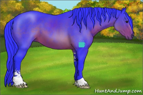 Horse Color:Watercolor Brown Sabino
