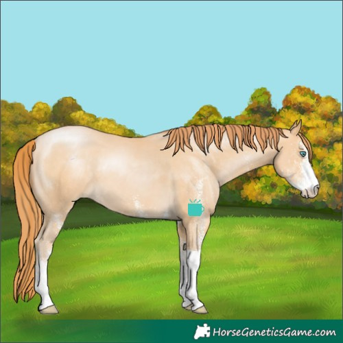 Horse Color:White Spotted Buckskin Pearl Tobiano 