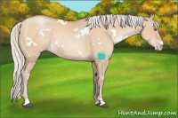 Horse Color:White Spotted Silver Brown Pearl Dun 