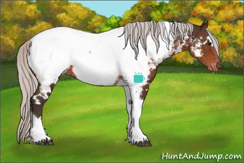 Horse Color:White Spotted Silver Brown Tobiano Appaloosa