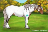 Horse Color:White Spotted Silver Brown Tobiano Appaloosa 
