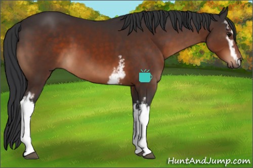 Horse Color:White Spotted Brown 