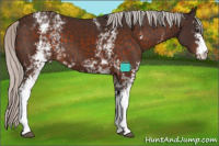 Horse Color:White Spotted Silver Brown 