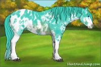 Horse Color:Watercolor White Spotted Brown Splash Appaloosa 
