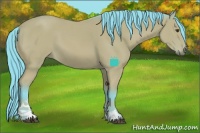 Horse Color:Watercolor Bay Sabino 