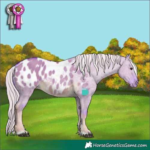 Horse Color:Watercolor Chocolate Palomino Dun Sabino Appaloosa 