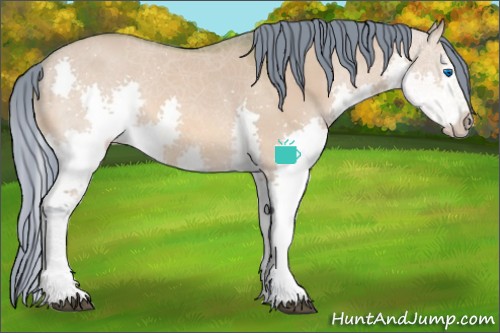 Horse Color:Watercolor White Spotted Brown Dun Splash 