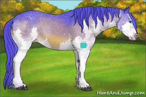 Horse Color:Watercolor White Spotted Bay Splash Varnish