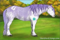 Horse Color:Watercolor Buckskin Dun Sabino Splash Appaloosa and Watercolor Buckskin Dun Sabino Splash Appaloosa
