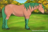 Horse Color:Watercolor Buckskin Sabino 