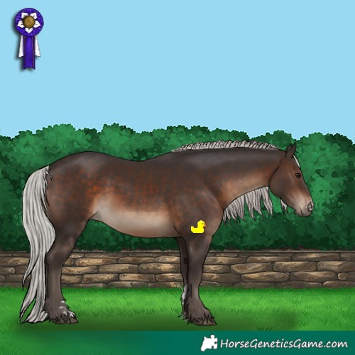 Horse Color:Silver Brown Sabino 