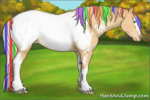 Horse Color:Painted White Spotted Silver Sable Cream Champagne Dun Appaloosa 
