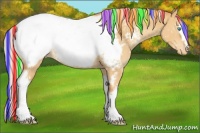 Horse Color:Painted White Spotted Silver Sable Cream Champagne Dun Appaloosa 