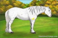 Horse Color:White Spotted Silver Brown Splash Blanket Rabicano