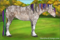 Horse Color:Painted Brown Ice Dun Sabino Rabicano