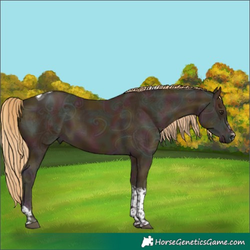 Horse Color:Midnight Chestnut Ice Sabino Tobiano 
