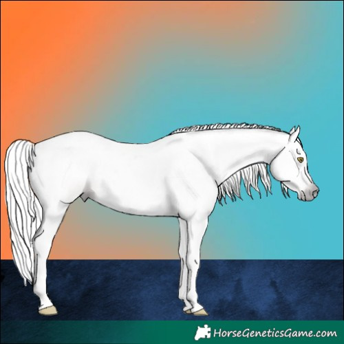 Horse Color:Gray White Spotted Gold Champagne Splash 