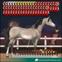 Horse Color:Brown Dun Tobiano Frame Rabicano 
