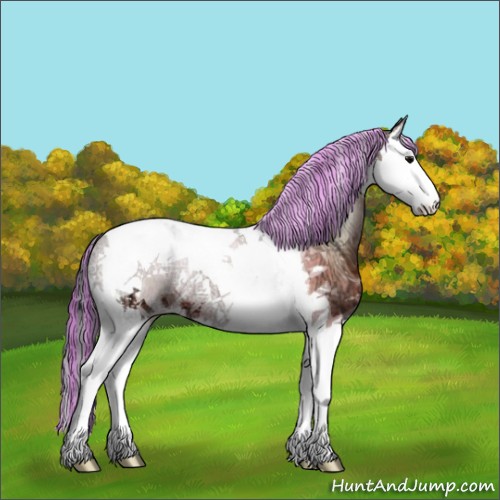 Horse Color:Painted Bay Ice Onyx Sabino Splash Tobiano 