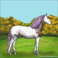 Horse Color:Painted Bay Ice Onyx Sabino Splash Tobiano 