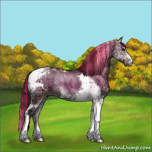 Horse Color:Painted Bay Ice Onyx Tobiano Rabicano 