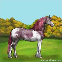 Horse Color:Painted Bay Ice Onyx Tobiano Rabicano 