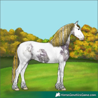 Horse Color:Painted Bay Ice Onyx Sabino Splash Tobiano 