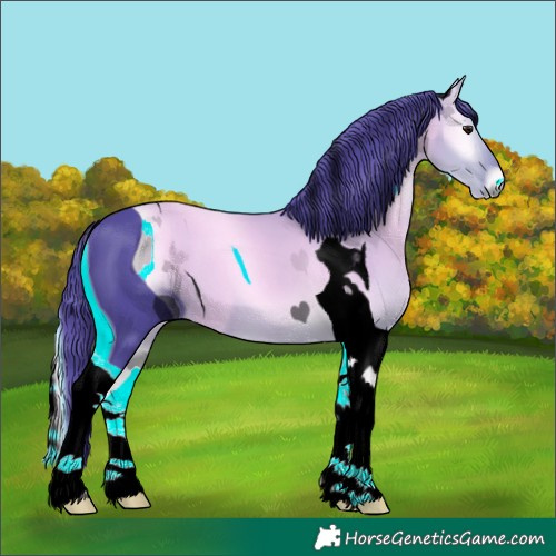 Horse Color:ERROR: UNKNOWN ANOMALY