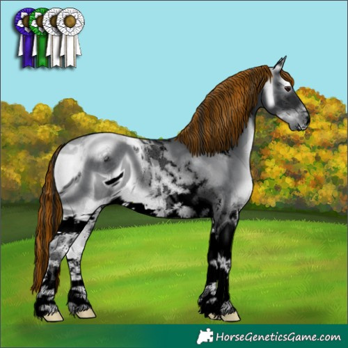 Horse Color:ERROR: UNKNOWN ANOMALY
